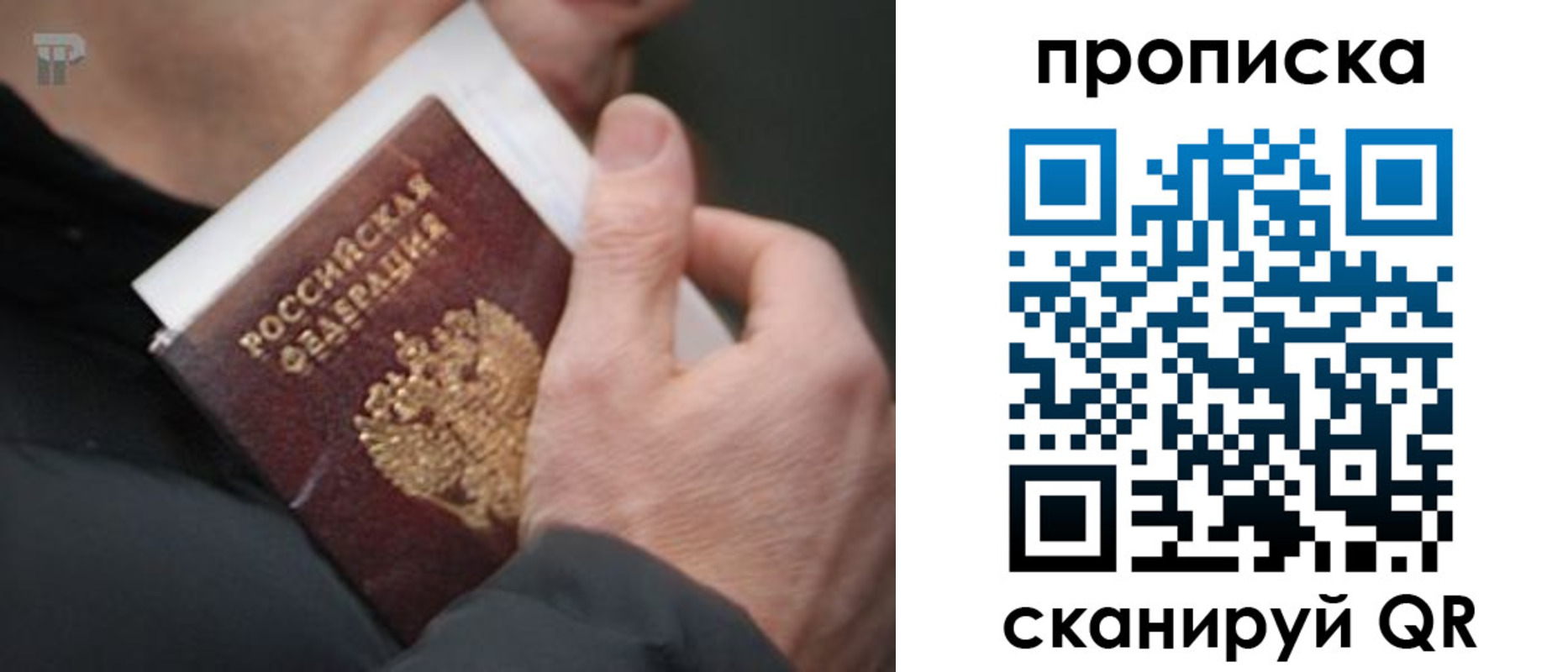временная регистрация гарантия в Куровском